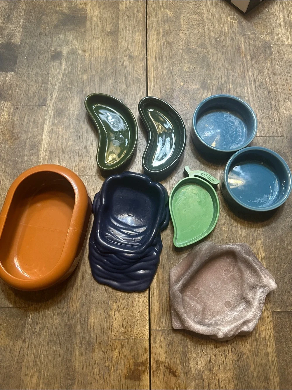 Small reptile food dishes